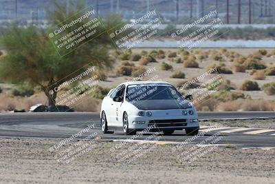 media/Oct-24-2025-Doghouse Garage (Fri) [[783d2ff07a]]/1-Advanced/Session 2 Turn 5 Tree of Life/